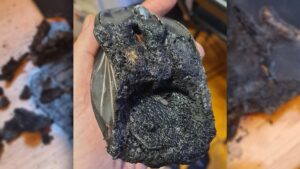 Too Hot to Handle: Gaming Mouse Allegedly Burst Into Flame and Almost ‘Burned Down’ User’s Apartment